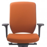 Evolve Chair (10)