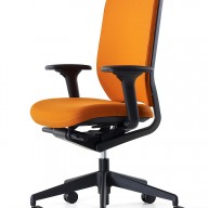 Evolve Chair (16)
