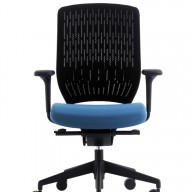 Evolve Chair (20)