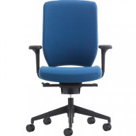 Evolve Chair (22)