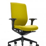Evolve Chair (27)