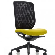 Evolve Chair (29)