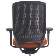 Evolve Chair (3)