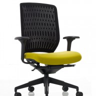 Evolve Chair (30)