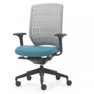 Evolve Chair (4)