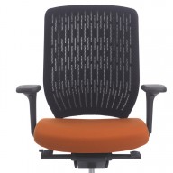 Evolve Chair (9)