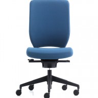 Evolve Chair (21)