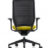 Evolve Chair (8)